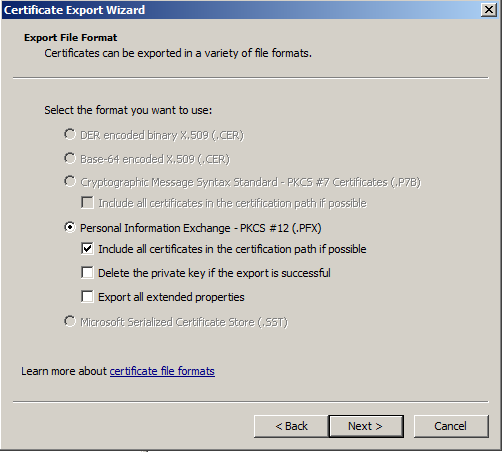 windows-ssl-export-11